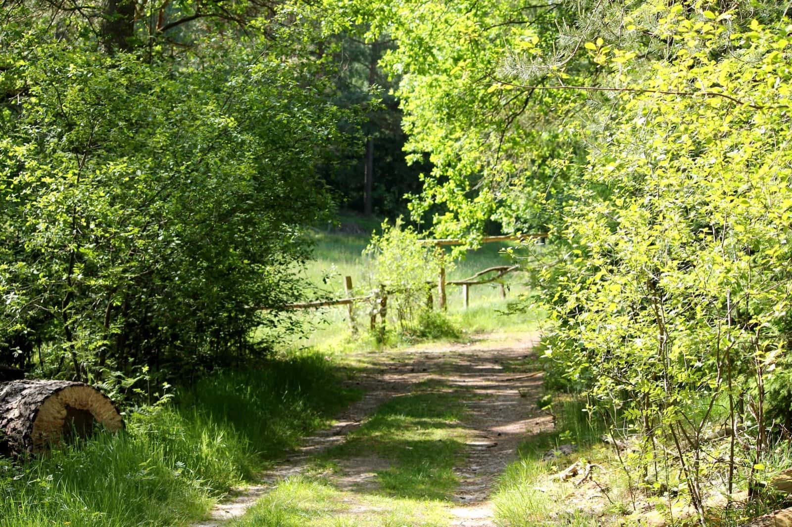 Ankunft am Waldweg in Egestorf